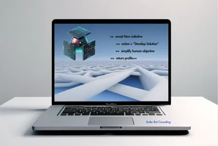 Consulting Services - Project Preview